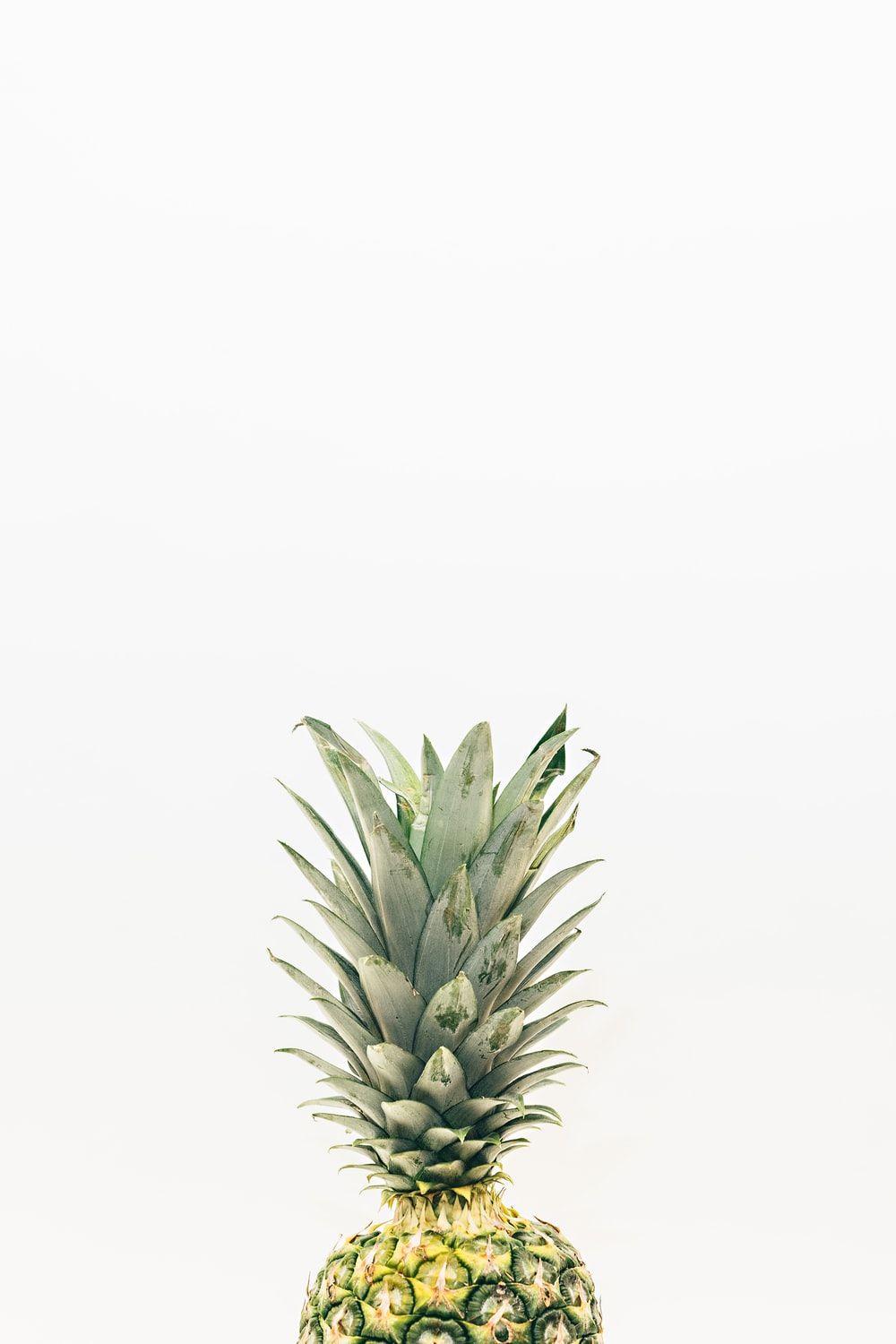 Minimalist Pineapple Wallpapers Top Free Minimalist Pineapple
