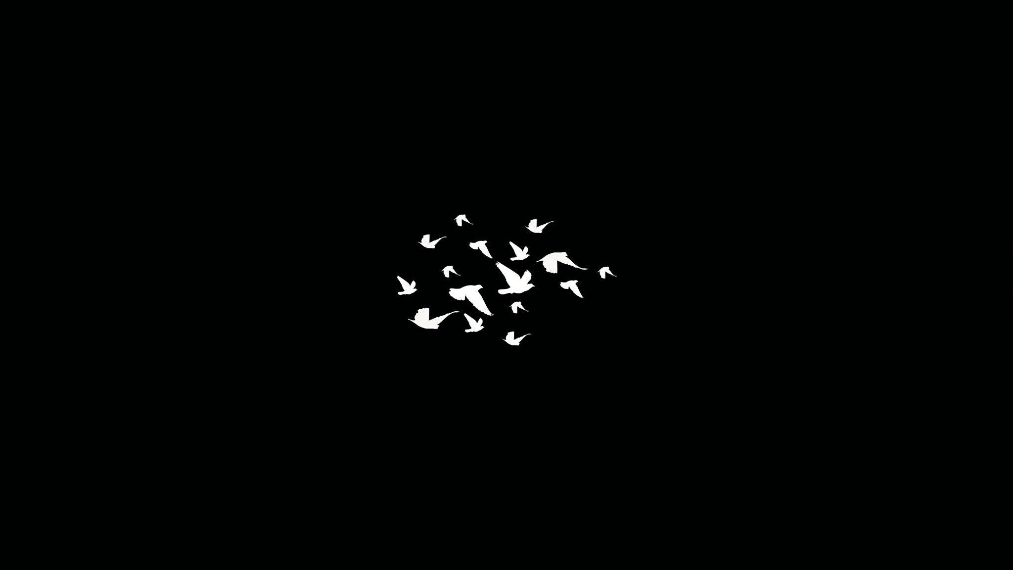 2048x1152 Birds Flying Minimalist Dark 4k 2048x1152 Resolution HD
