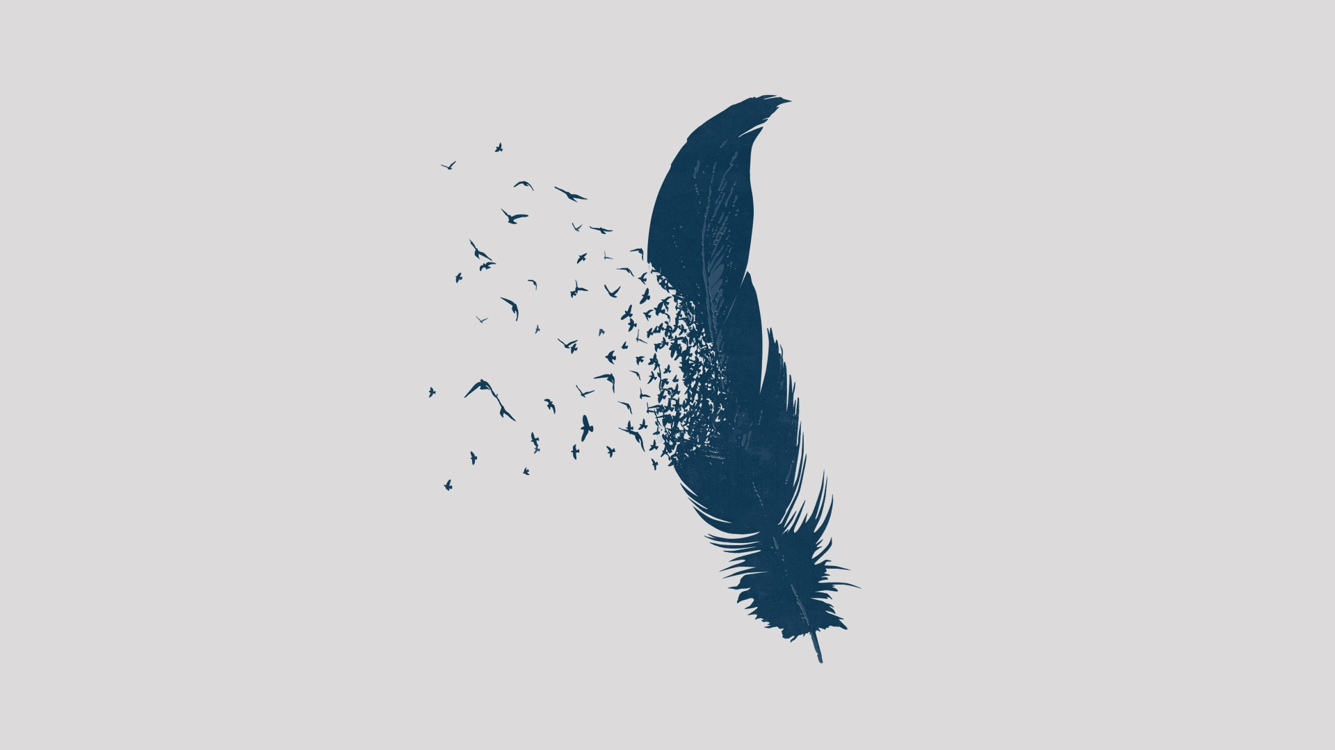 Minimalist Bird Wallpapers - Top Free Minimalist Bird Backgrounds