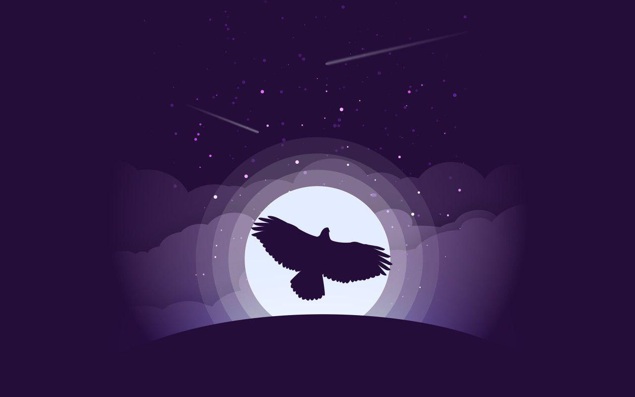 1280x800 Eagle Minimalist 720P HD 4k Wallpaper, Image