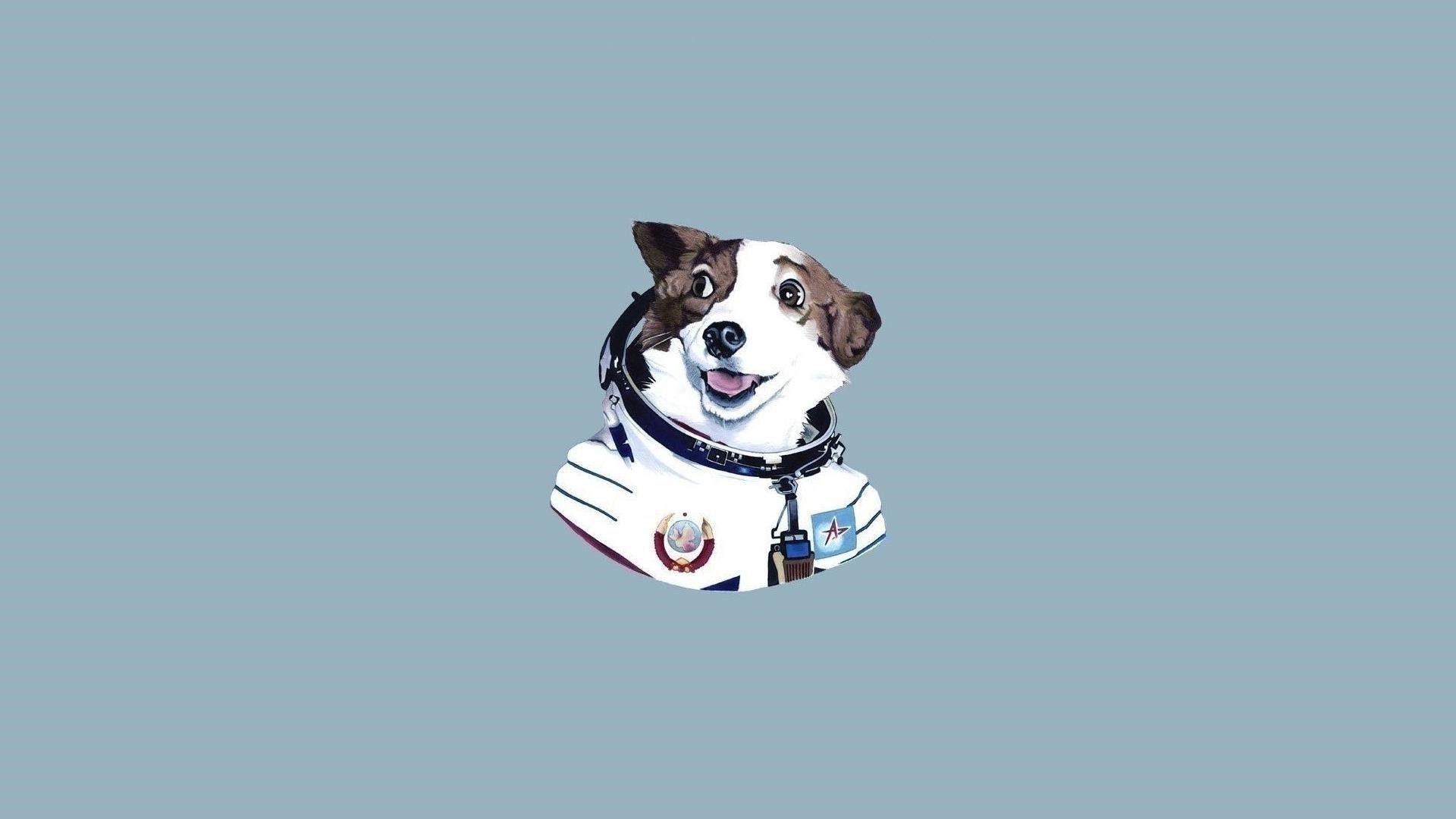 1920x1080 Dog Astronauta Minimalism Wallpaper And Background