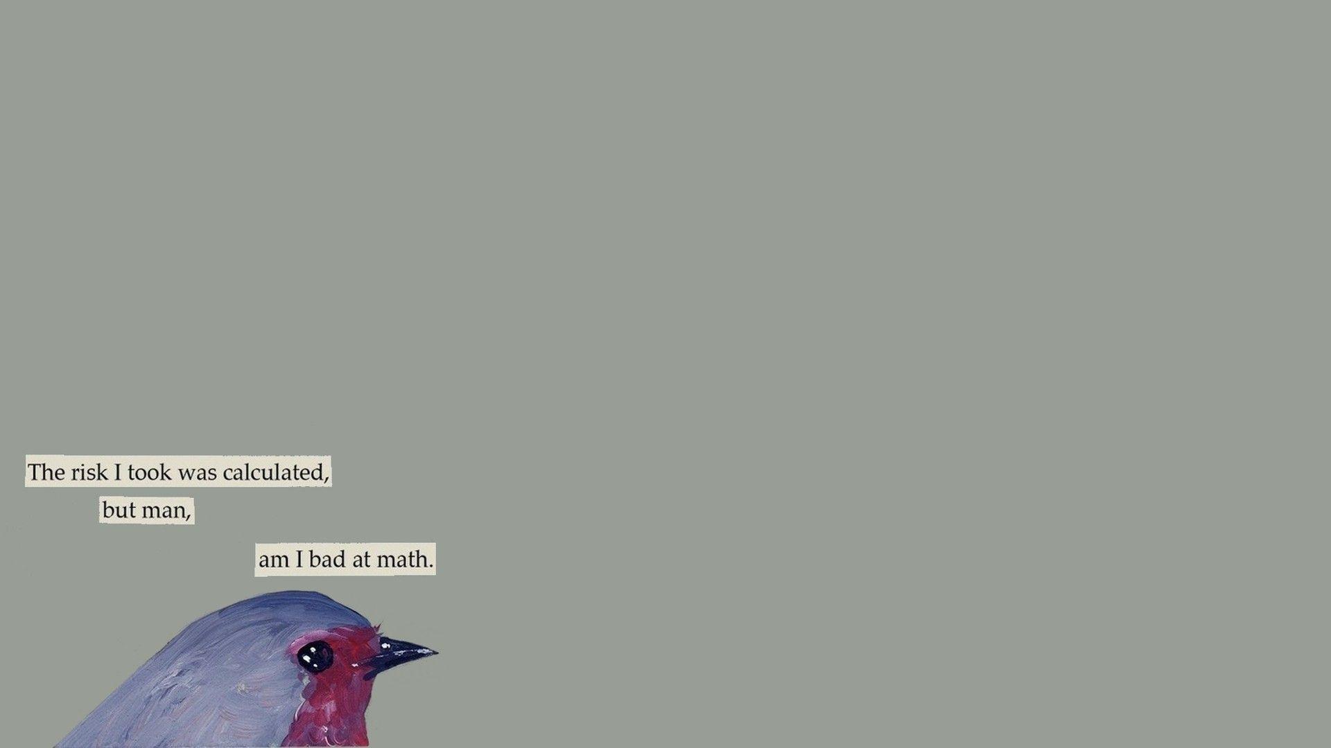 1920x1080 Humor, Minimalism, Bird, Sentence, Simple Background wallpaper