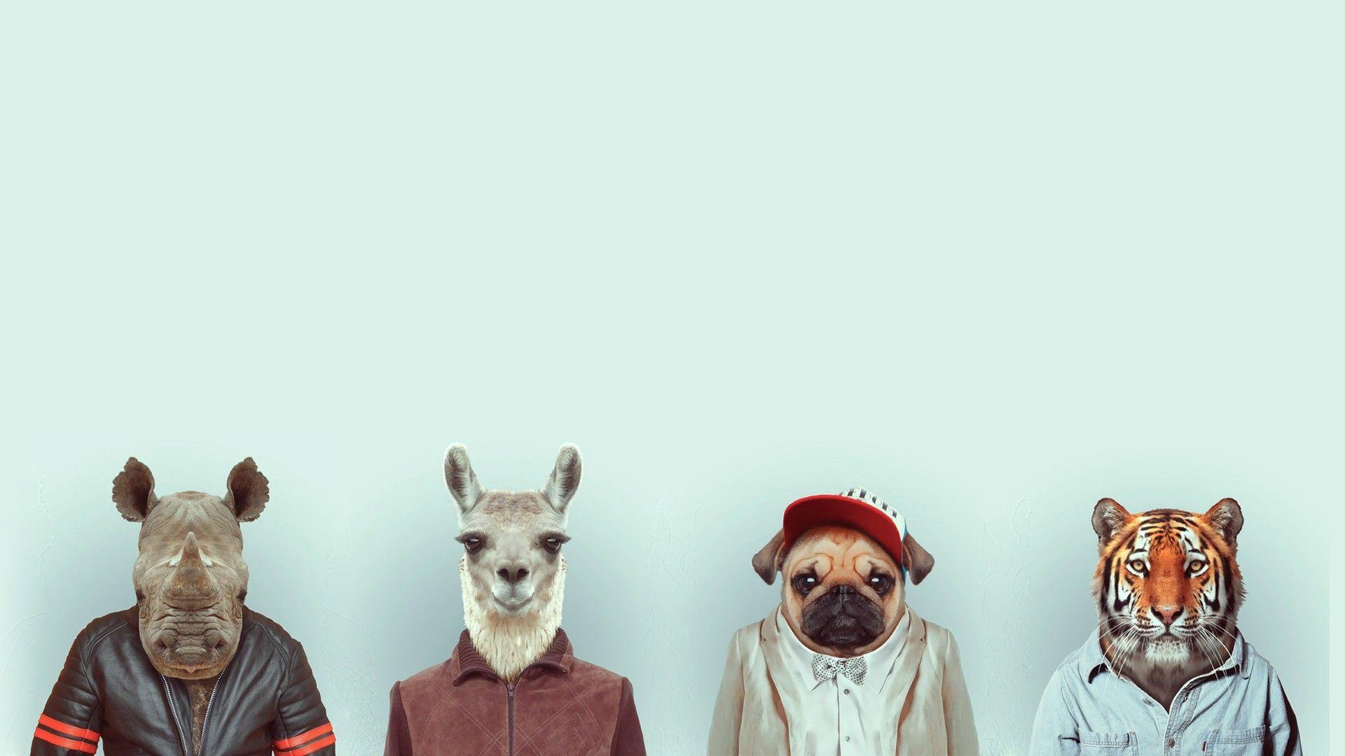 1920x1080 Animal Heads 2 1920 × 1080. Pet portraits, Dog allergies