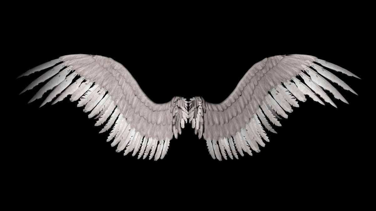 1200x675 Wallpaper For > Angel Wings Wallpaper. Wings wallpaper, Wings