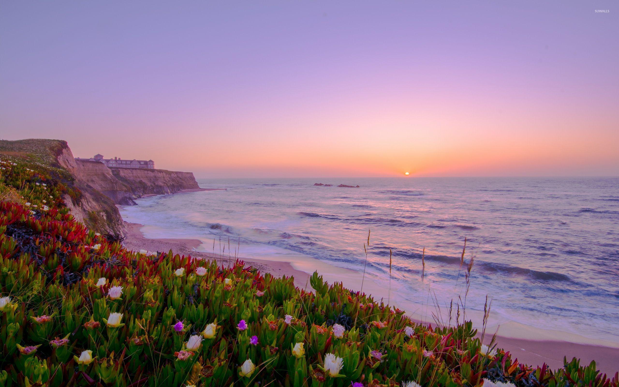 Hình nền 2560x1600 Hoàng hôn trên bờ biển ngập tràn hoa đầy màu sắc - Bãi biển
