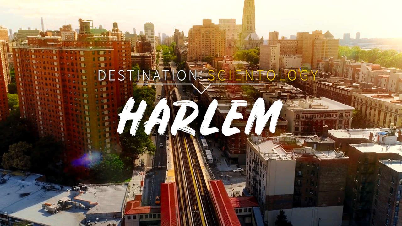 Harlem Wallpapers Top Free Harlem Backgrounds WallpaperAccess