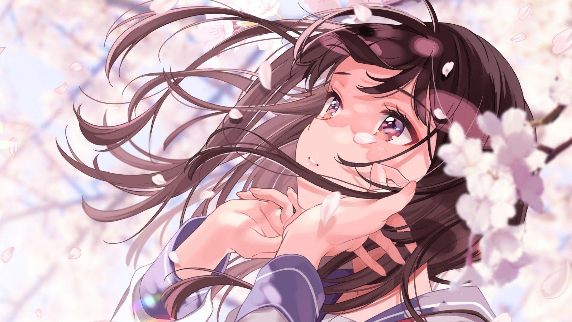 1920x1080 Download 1920x1080 Anime Girl, Brown Hair, Sakura Blossom, Wind