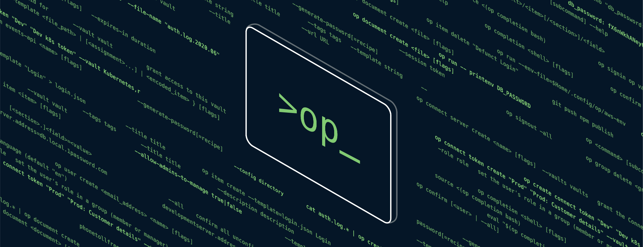 2080x800 How the 1Password CLI Makes DNS Management EasierPassword
