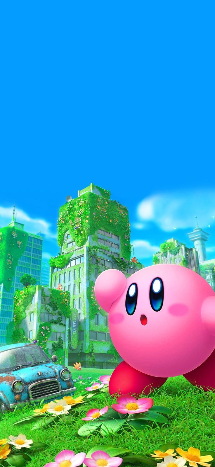 736x1593 4K Kirby Wallpaper