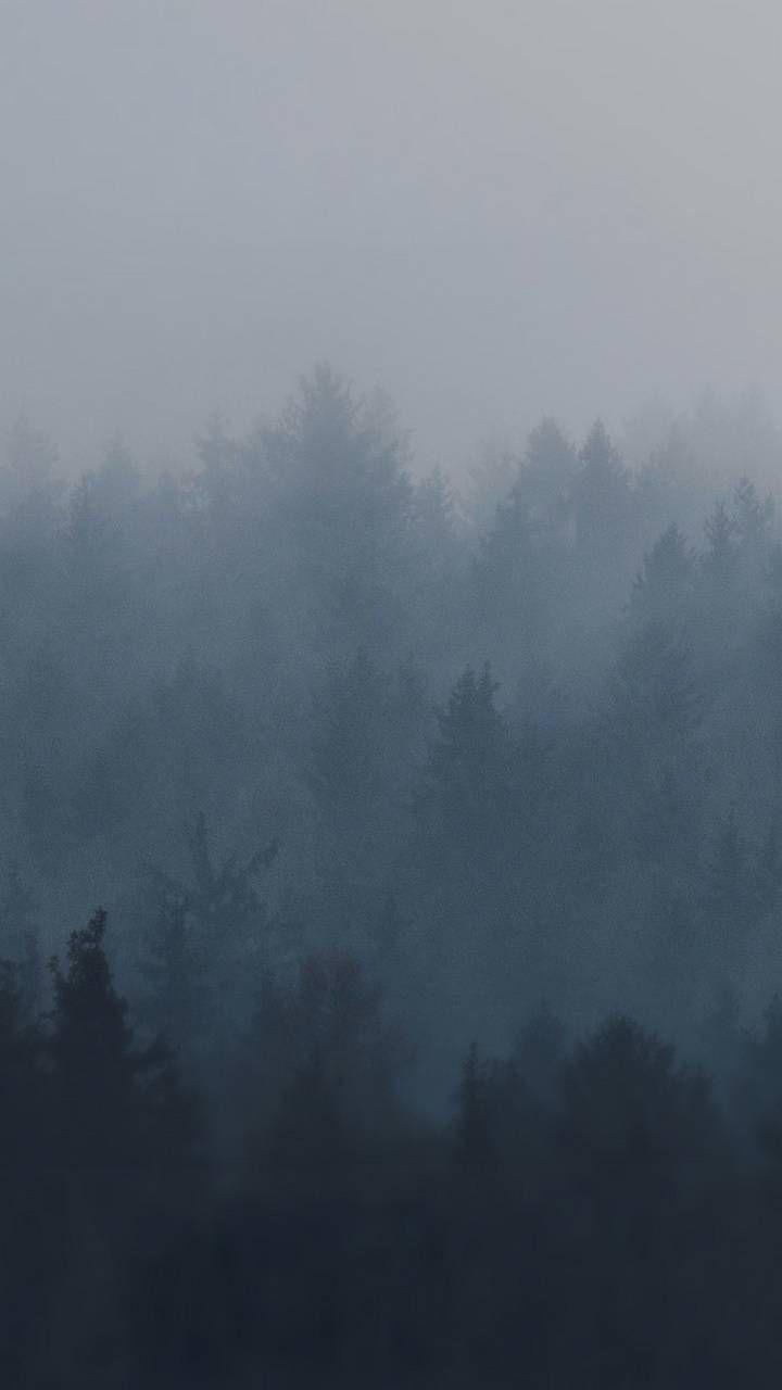 720x1280 Foggy forest wallpaper by L0n3wo1f .