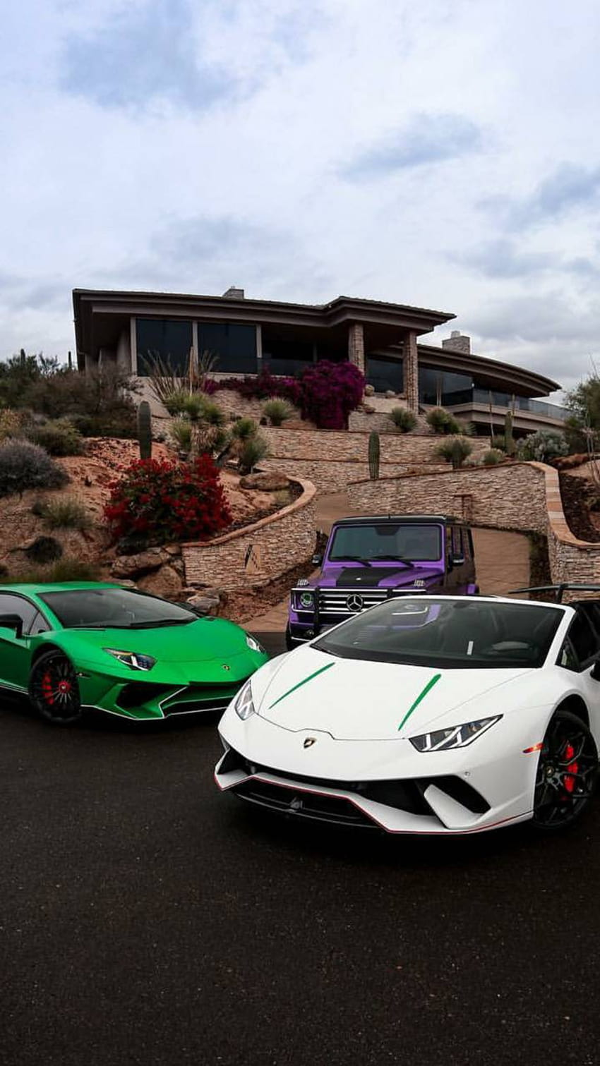 850x1511 Rich on Dog, richest HD phone wallpaper
