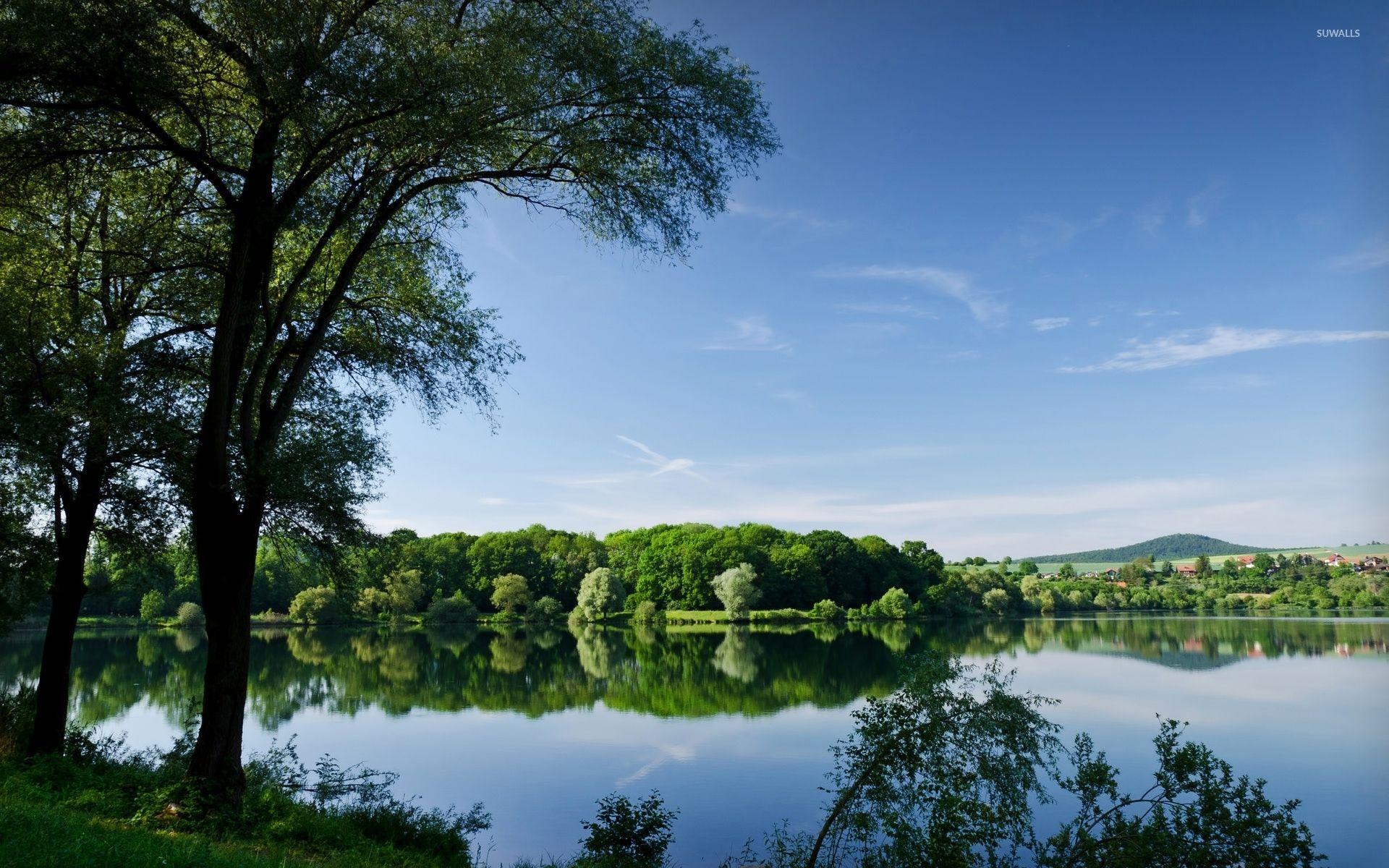1920x1200 Summer forest by the lake wallpaper wallpaper