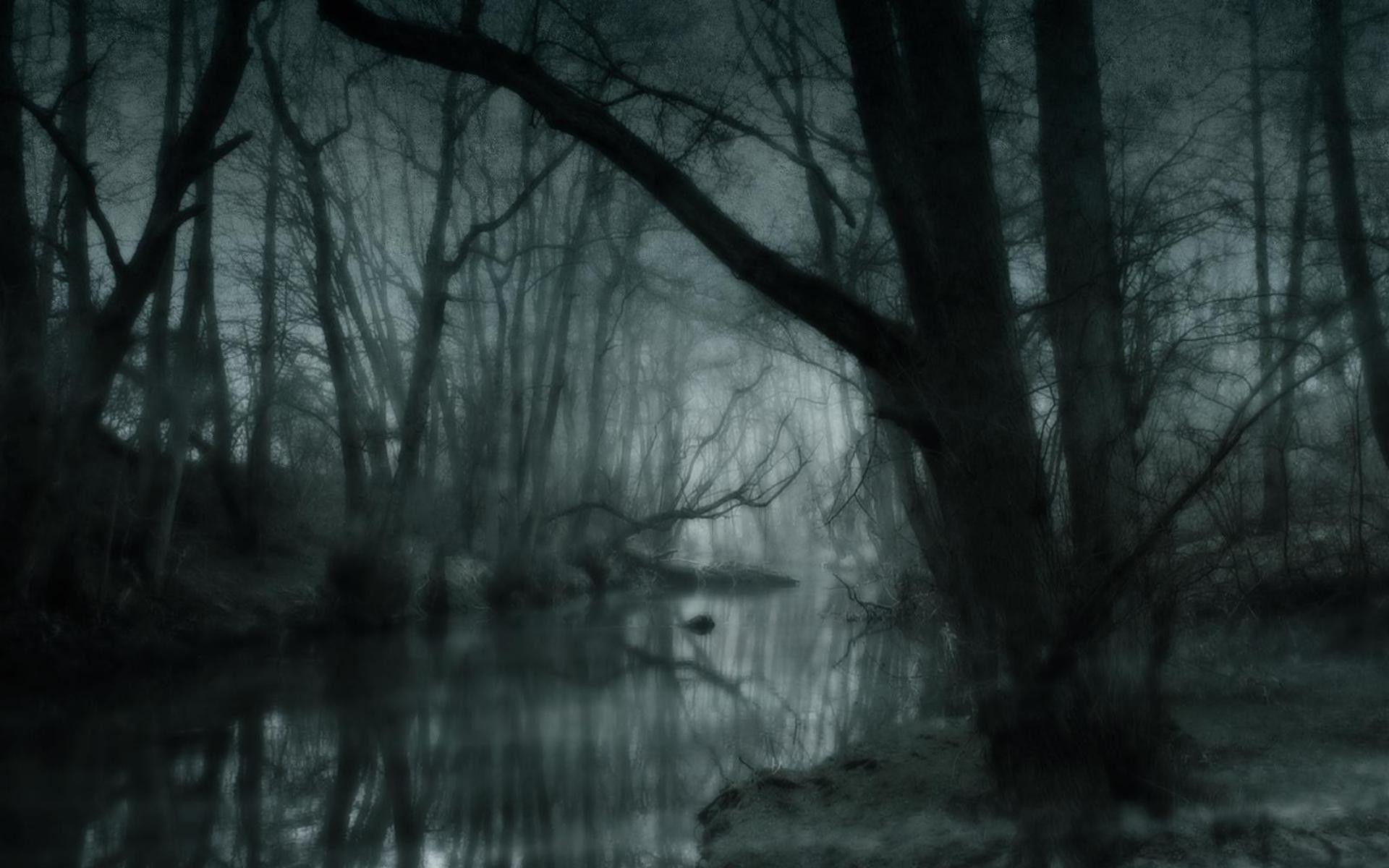 1920x1200 Download 1920x1200 Foggy forest wallpaper