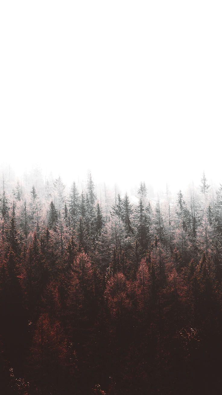 736x1308 Tap To Download Free Forest iPhone X Wallpaper By Xr