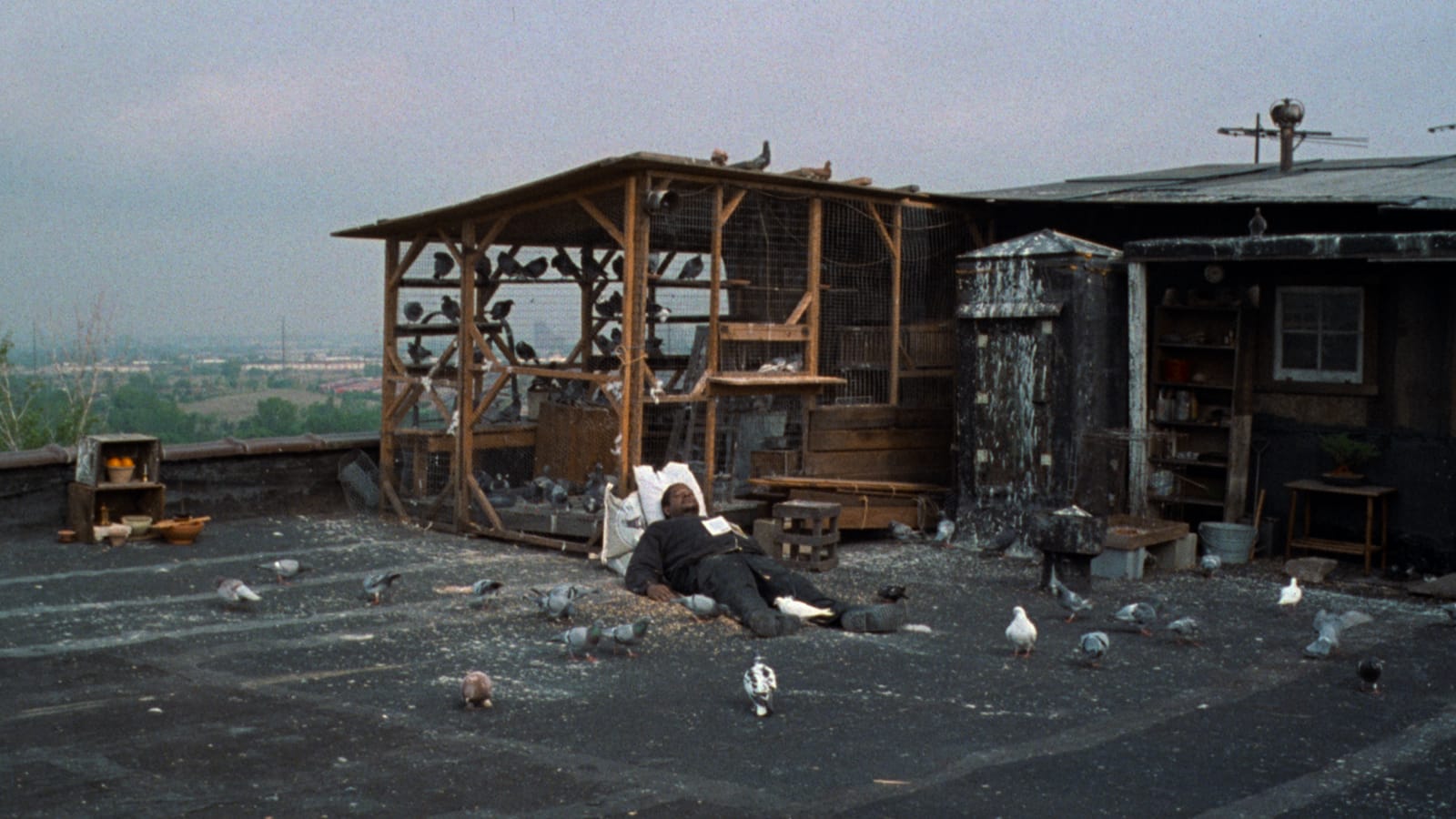 1600x900 Ghost Dog: The Way of the Samurai (1999)