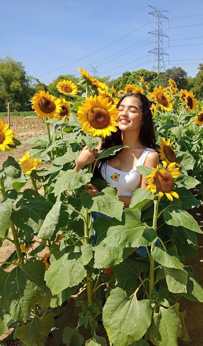 800x1363 Andrea Sunflower, andrea brillantes, blythe, filipina, flowers, pinay, poppies, HD phone wallpaper