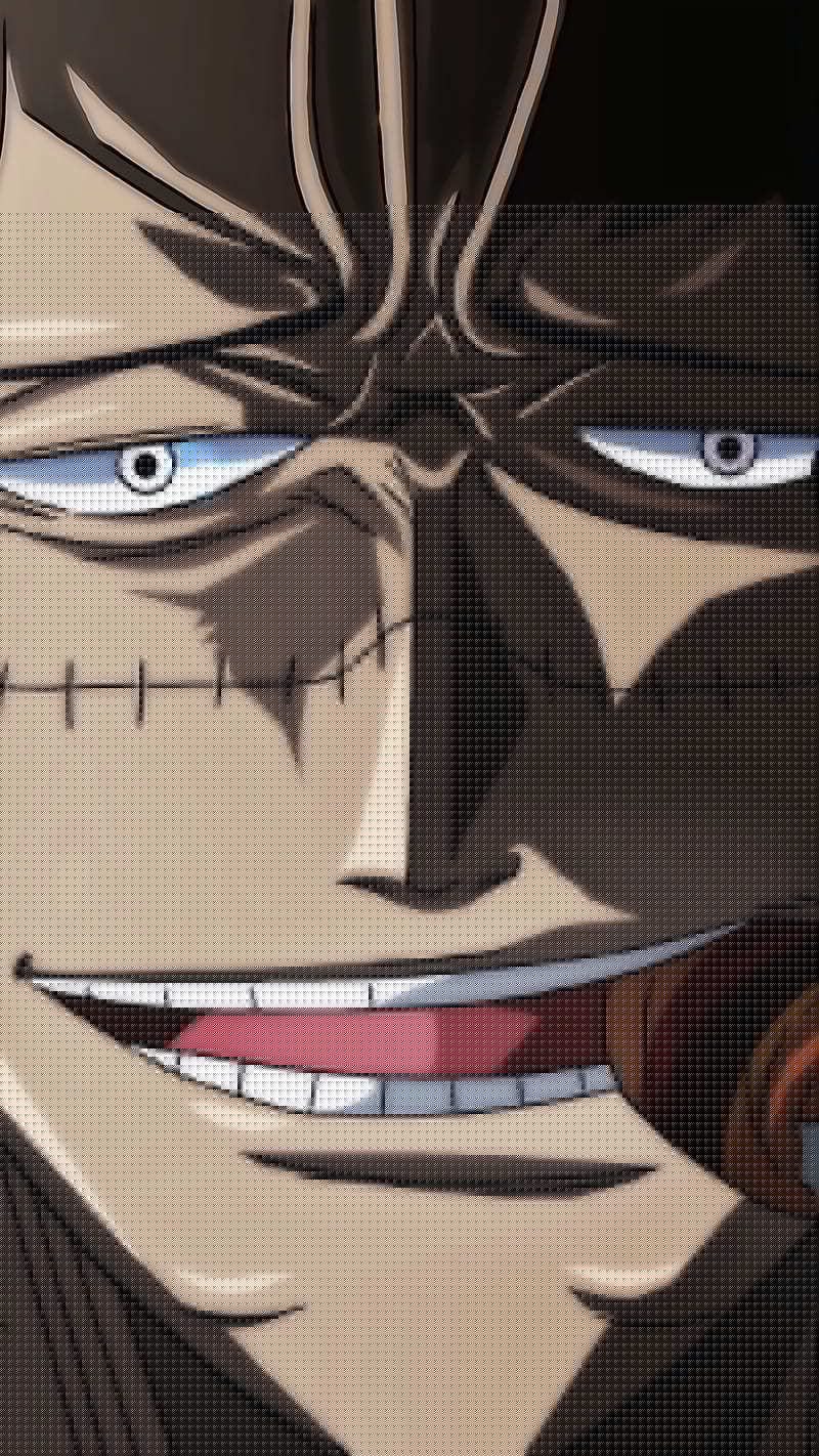 800x1422 HD crocodile (one piece) wallpaper