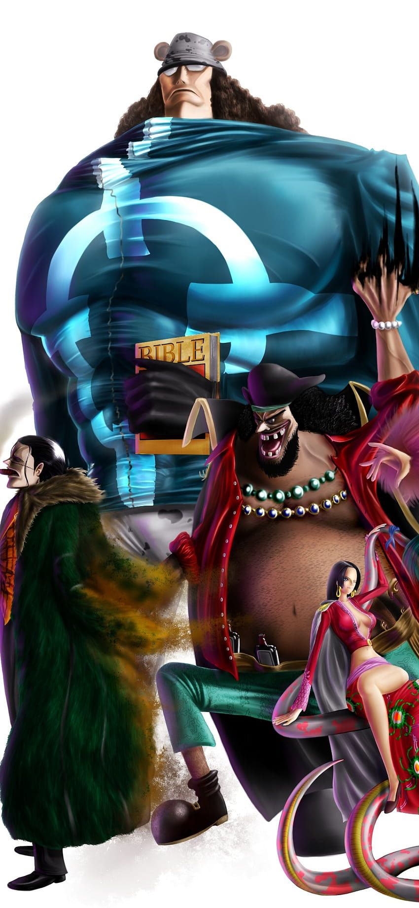 850x1841 Anime One Piece, seven warlords of the sea HD phone wallpaper