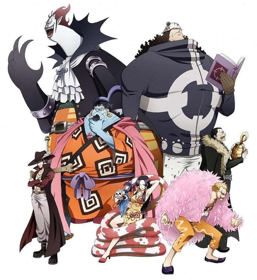 850x926 Team 7 vs Schichibukai, seven warlords one piece HD phone wallpaper