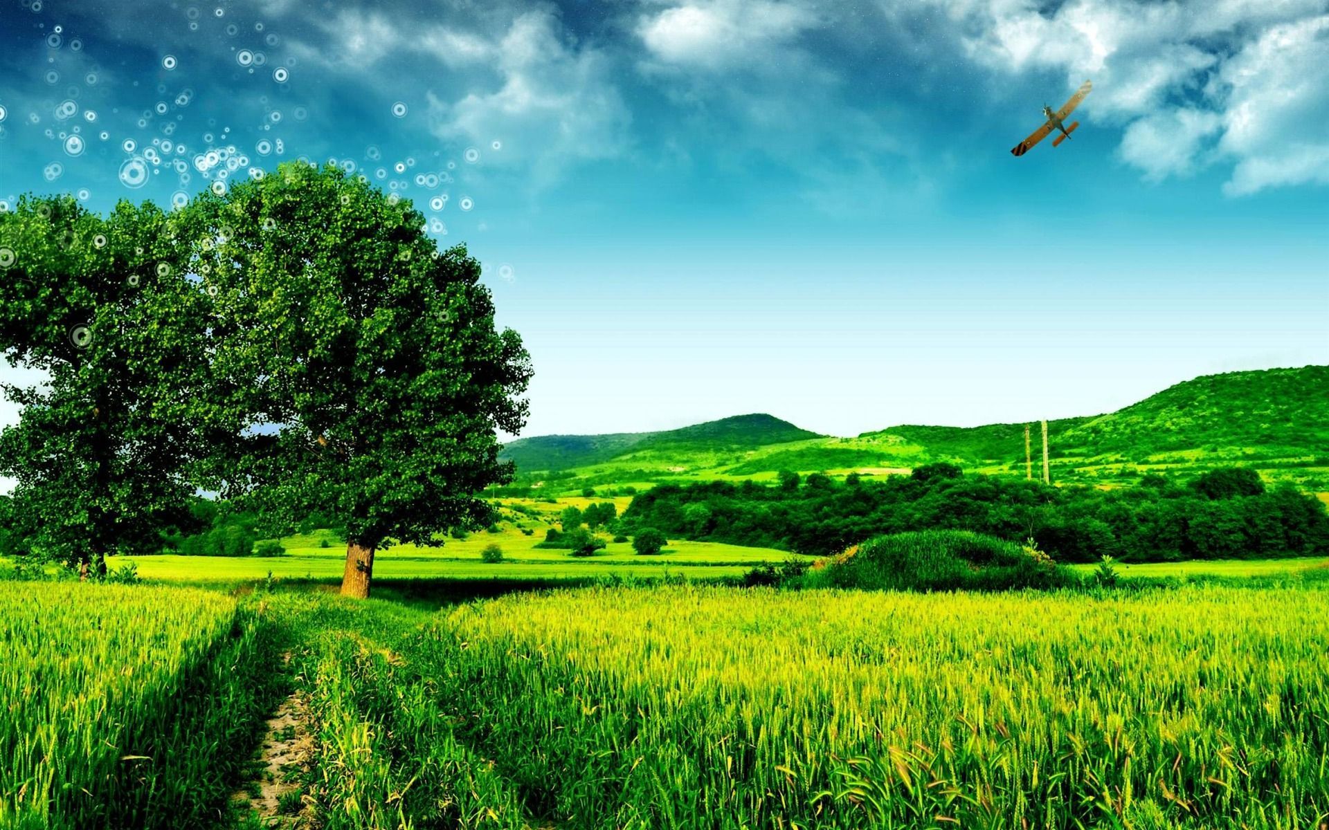 1920x1200 Green Tree Fantasy Landscape Nature Wallpaper