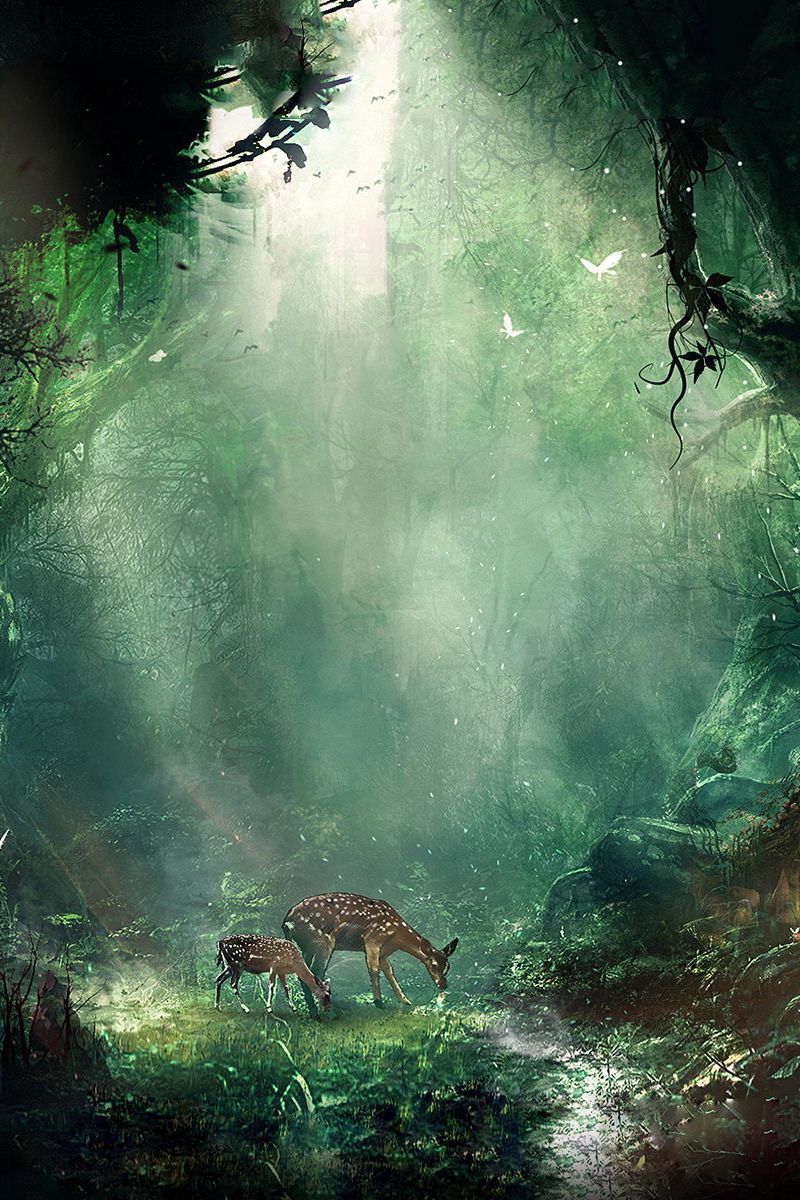 800x1200 Download Wallpaper 800x1200 Jungle, Fantasy, Deer, Butterflies, Night, Trees Iphone 4s 4 For Parallax HD Background