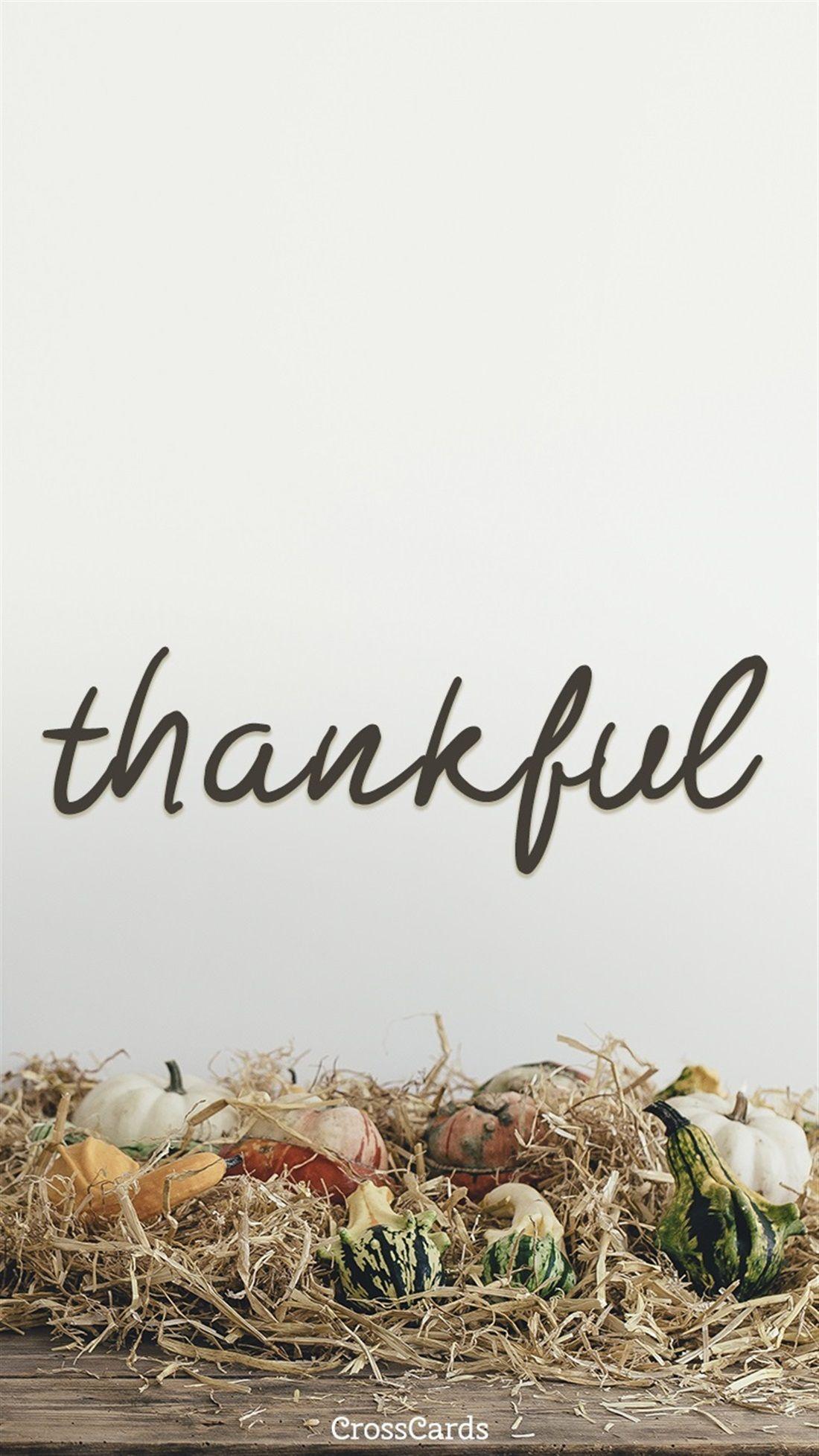 Thankful Wallpapers - Top Free Thankful Backgrounds - WallpaperAccess