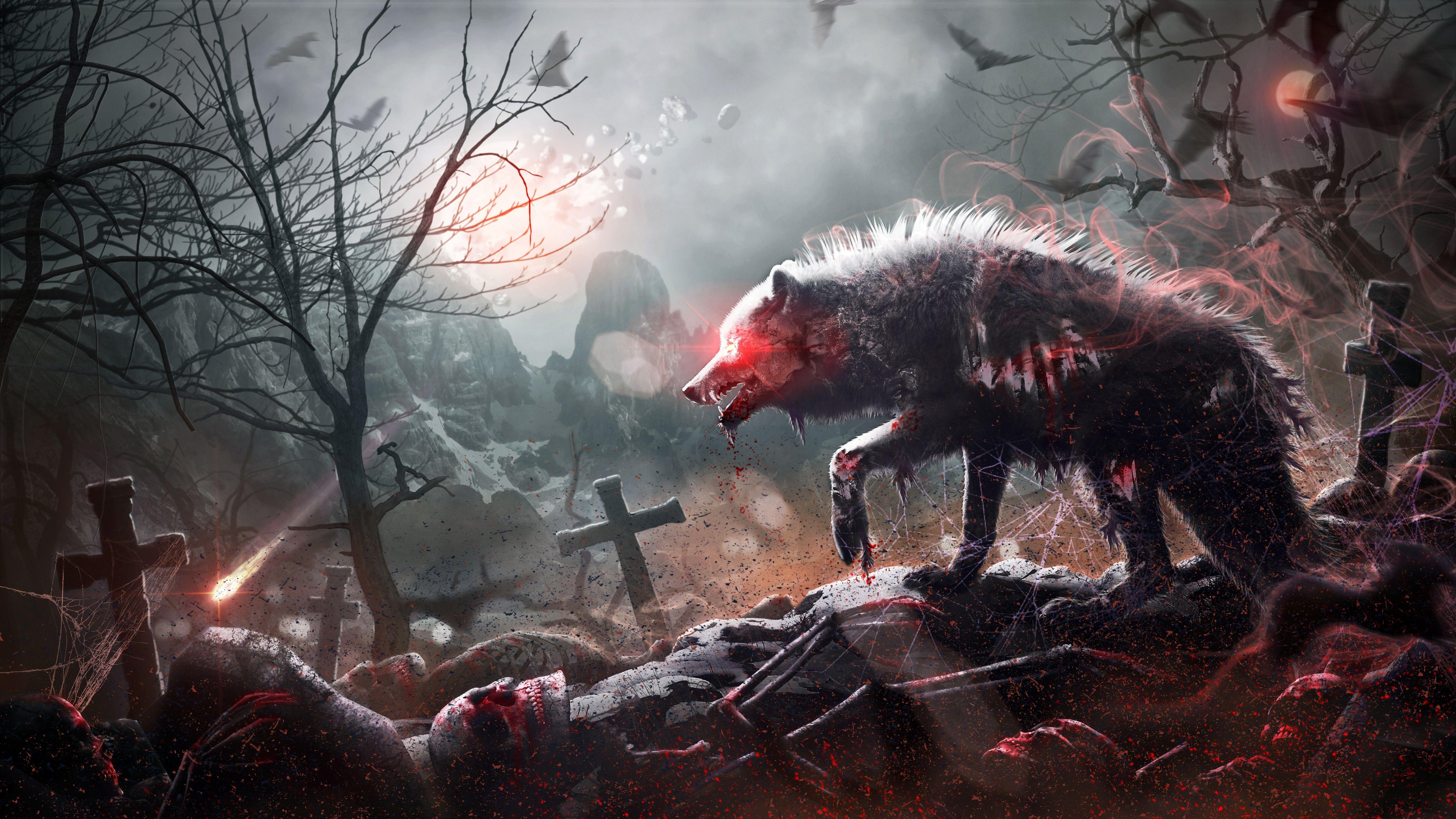 5336x3000 Hd Wallpaper Wolf .itl.cat