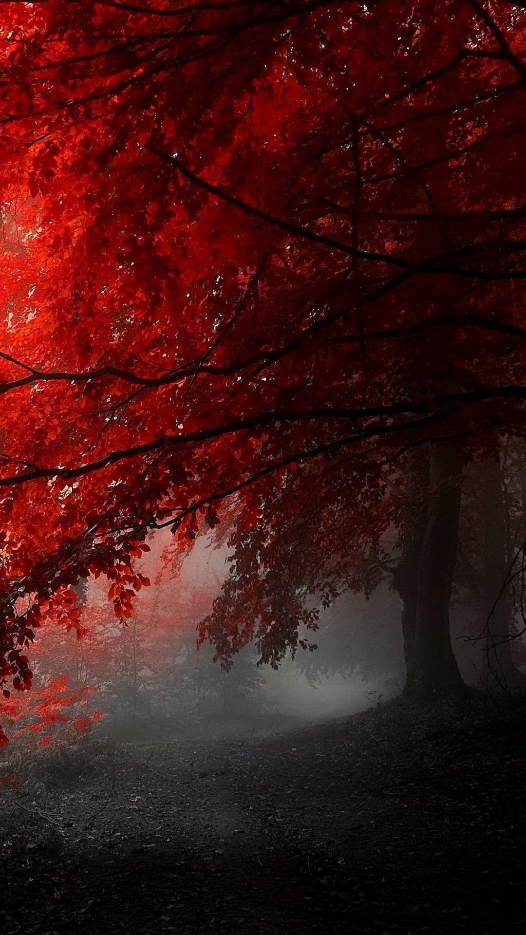 1080x1920 1080x Awesome Red Tree iPhone 6 Wallpaper HD Red
