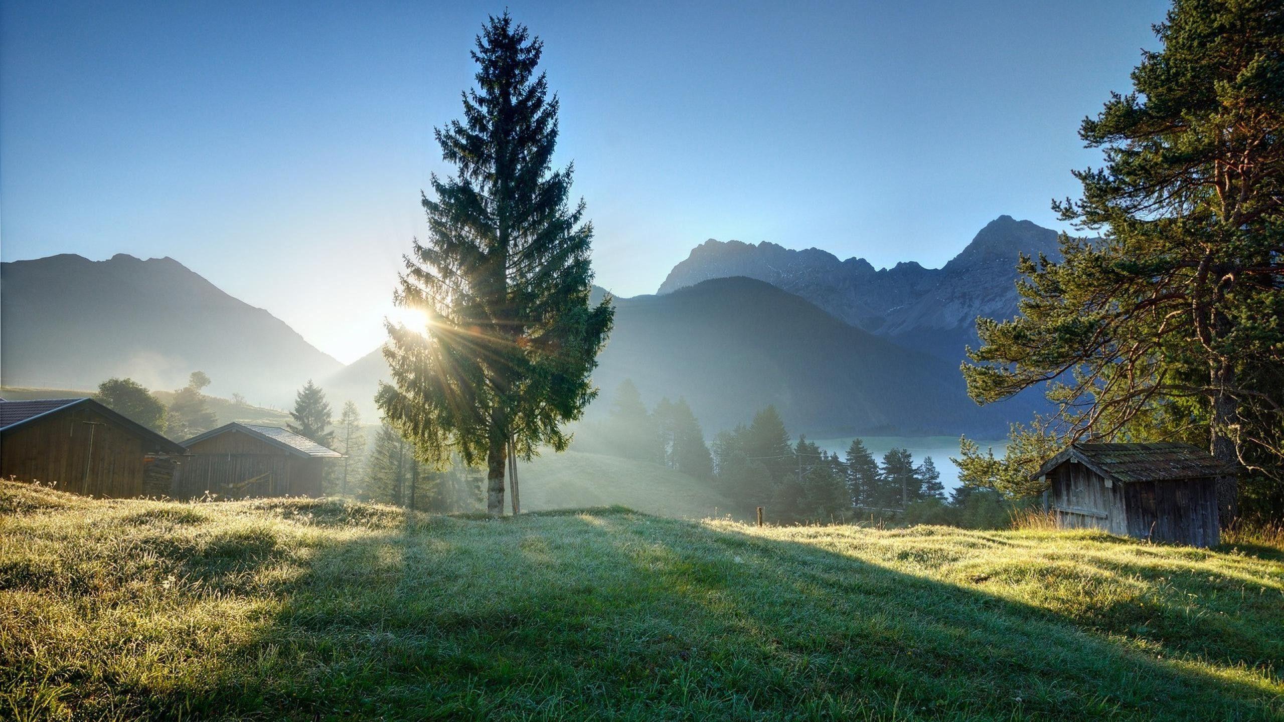 2560x1440 Free download wallpaper 2704293 elementary OS [2560x1440]