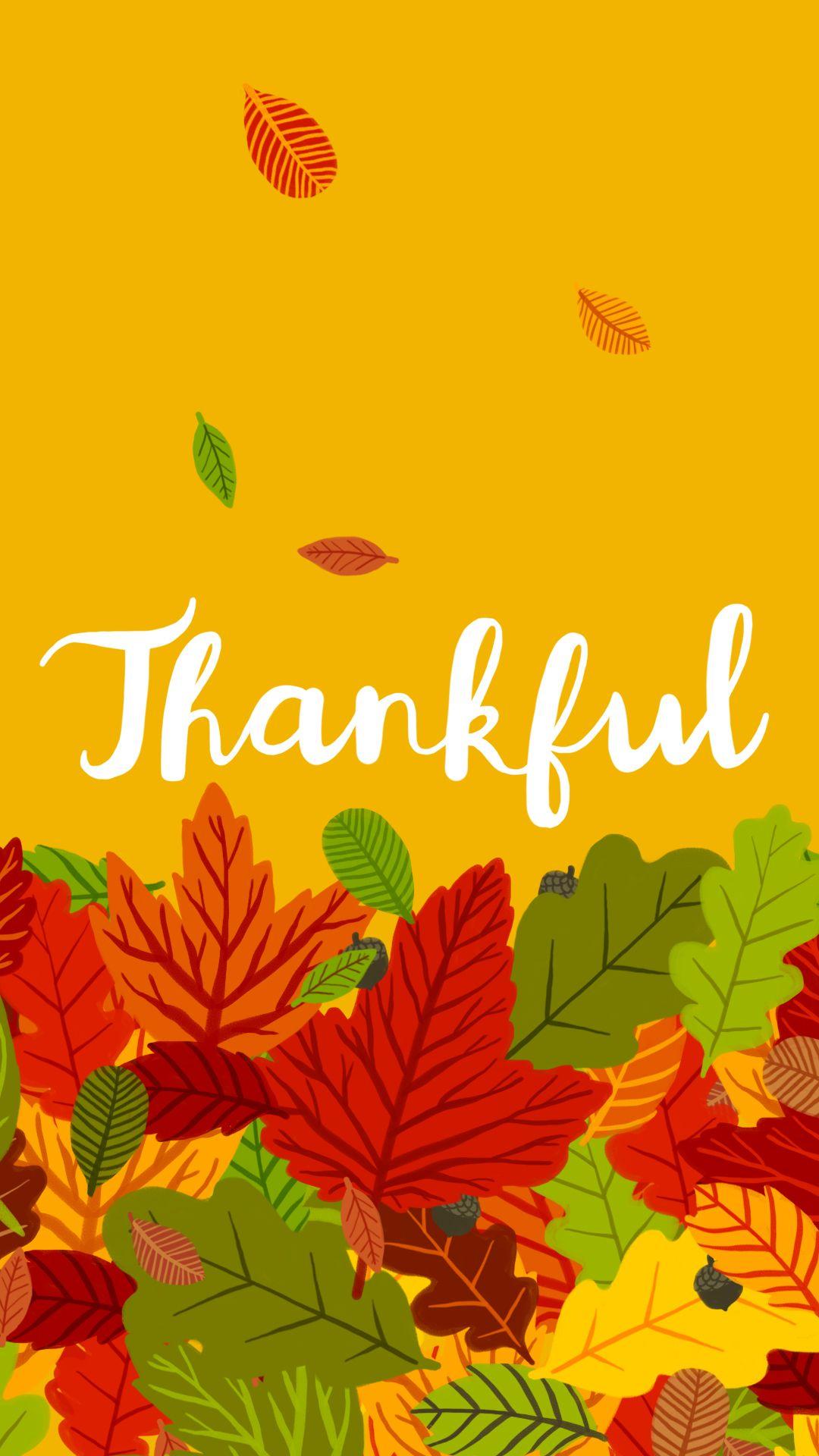 thankful-wallpapers-top-free-thankful-backgrounds-wallpaperaccess