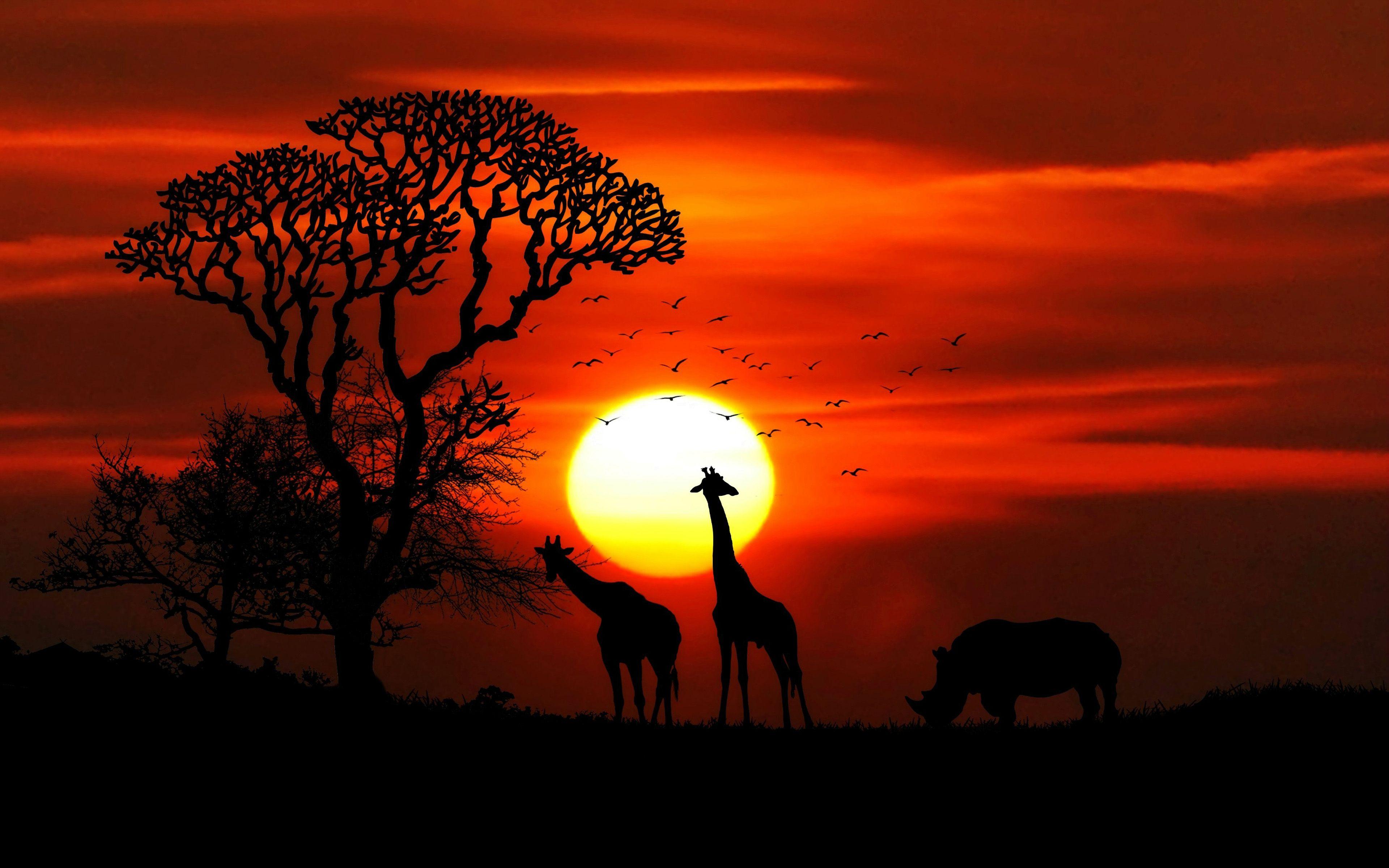 3840x2400 Sunset Wallpaper African Savanna