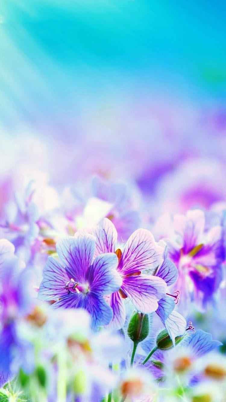 750x1334 Flower Wallpaper (4K Ultra HD) for Android