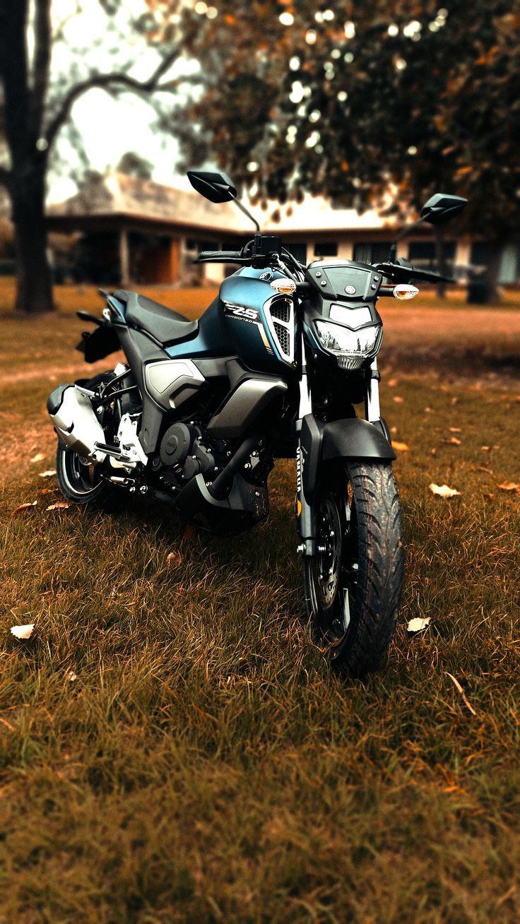 736x1308 Yamaha FZ S V3
