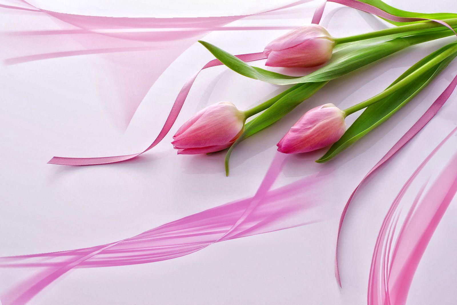 1600x1067 Beautiful Pink Tulips Wallpaper Pink Tulip Flower
