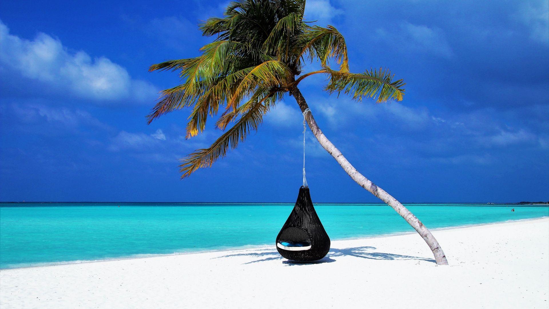 1920x1080 Download wallpaper 1920x1080 maldives, palm, beach, relax, rest