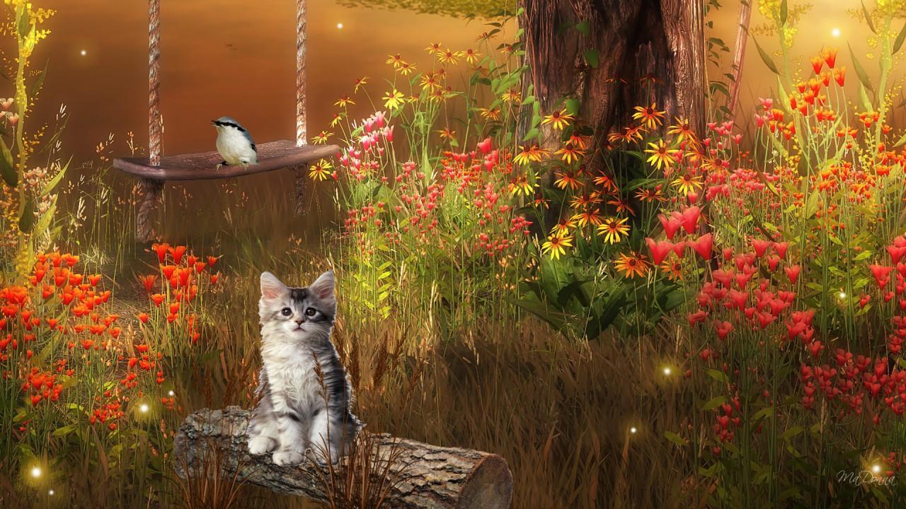 1280x720 Fall Flowers Wallpaper 3 Cool HD Wallpaper