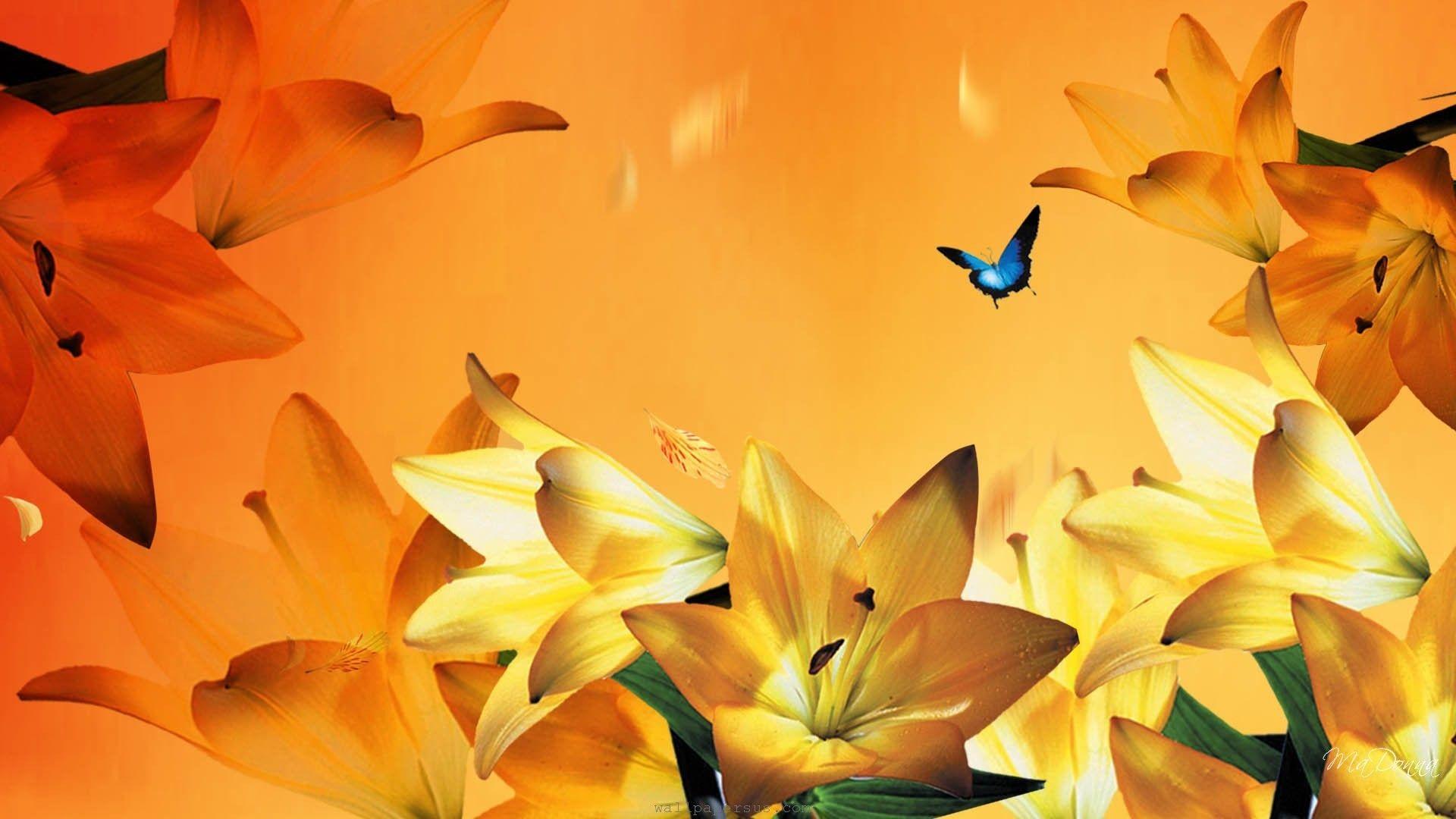 1920x1080 Beautiful Fall Flowers Wallpaper