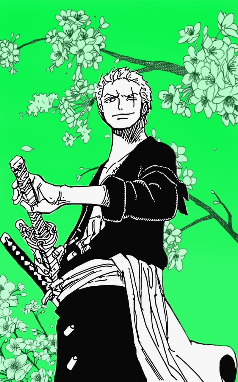 800x1282 Zoro, anime, green, manga, one piece, roronoa, roronoa zoro, zoro roronoa, HD phone wallpaper
