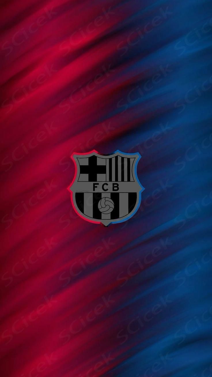 736x1308 Fc Barcelona Away Kit 2024 2025 Barca