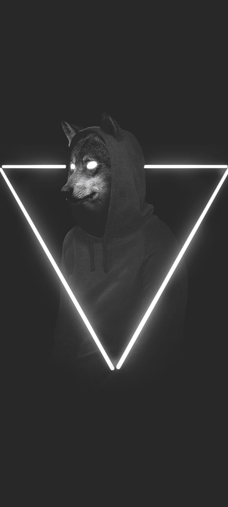 800x1778 Black, looksgood, thoughts, cool, blackanddark, things, doggy, triangl, HD phone wallpaper