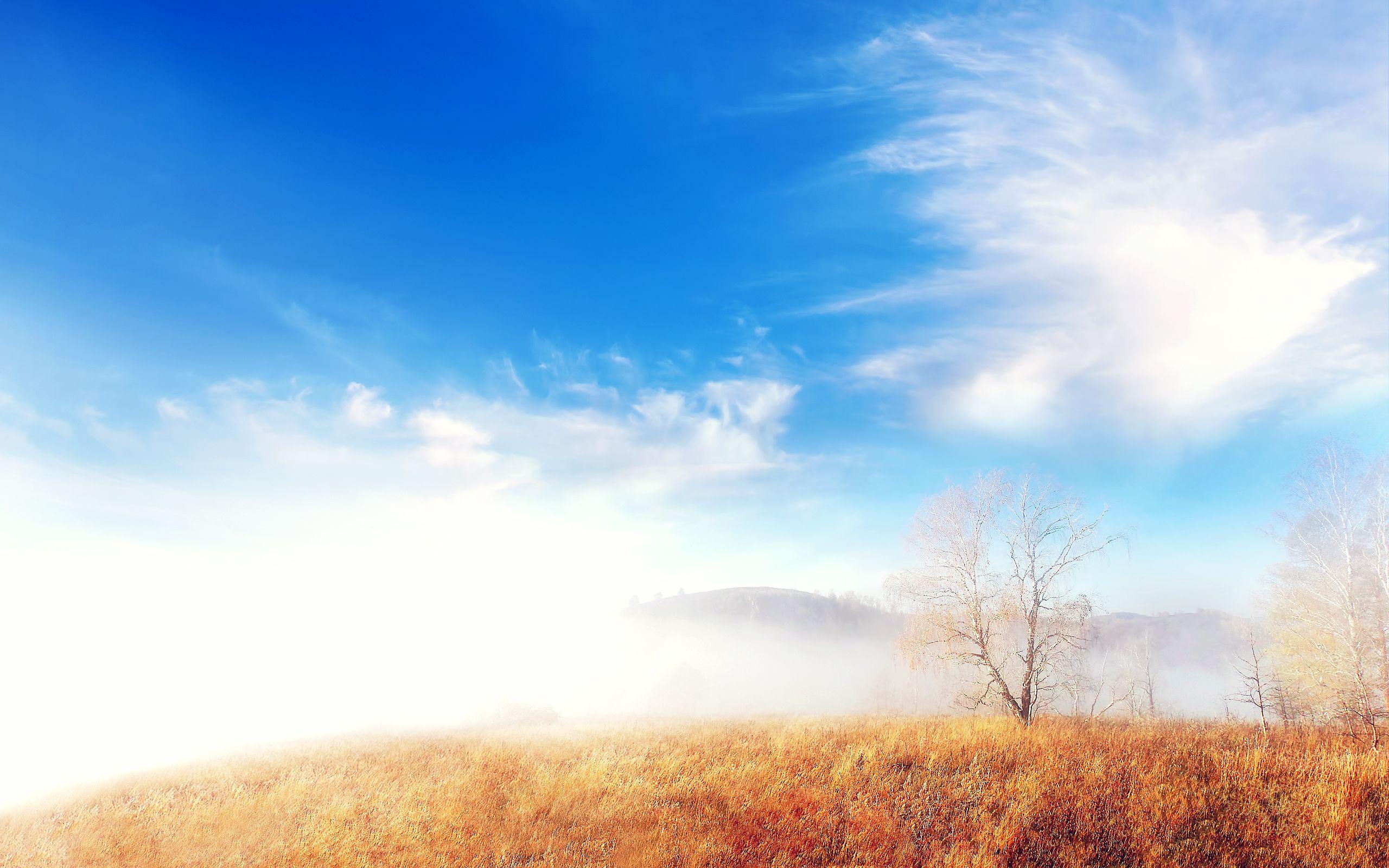 2560x1600 Trees Cloud Fog Landscape Wallpaper