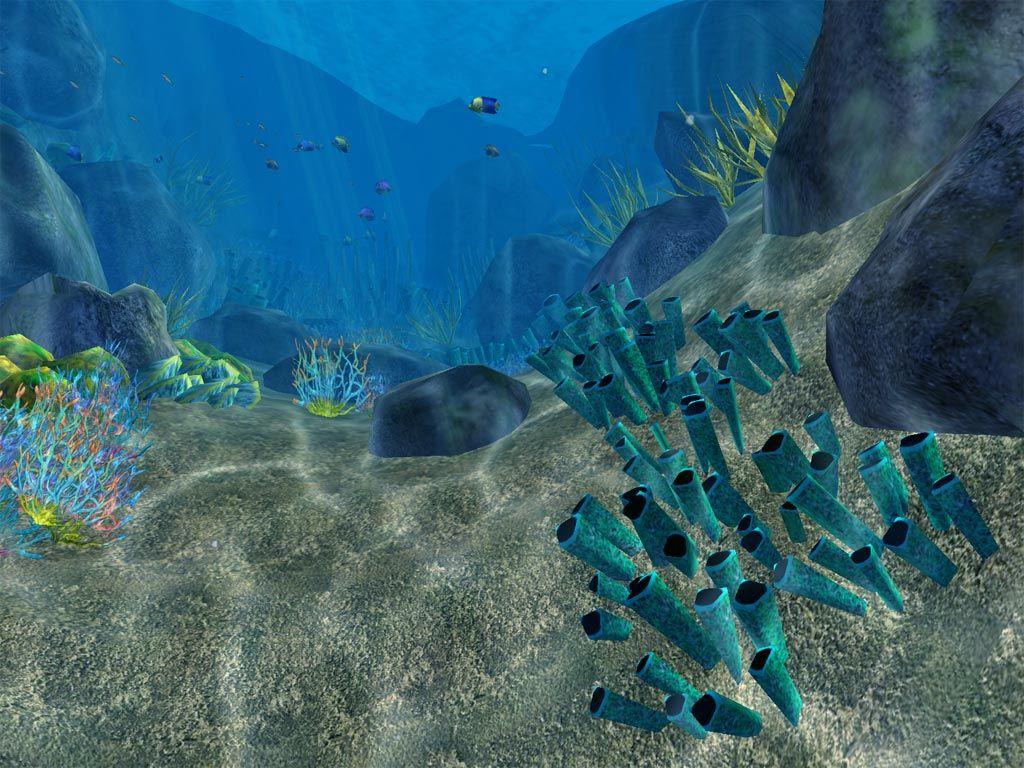 remix 3d ocean life