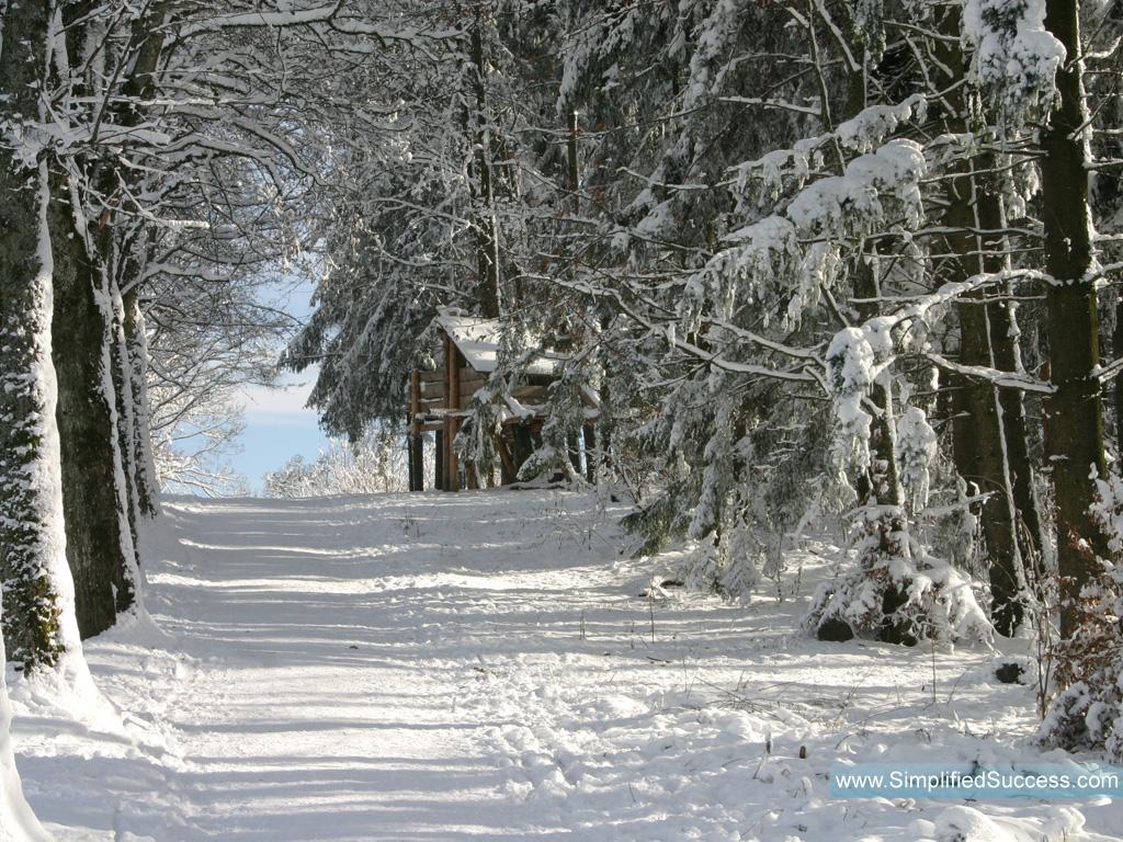 1024x768 3D Winter Wallpaper 1024x