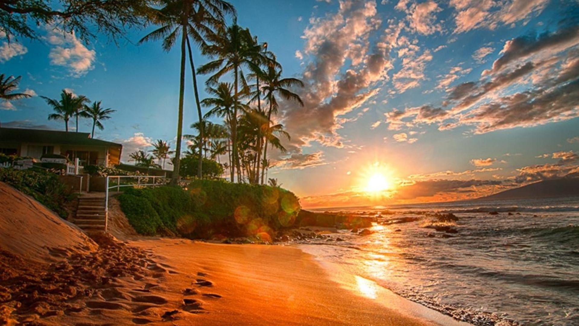 1920x1080 AU 11. Exotic Beach, V.8.0 461.5 KB