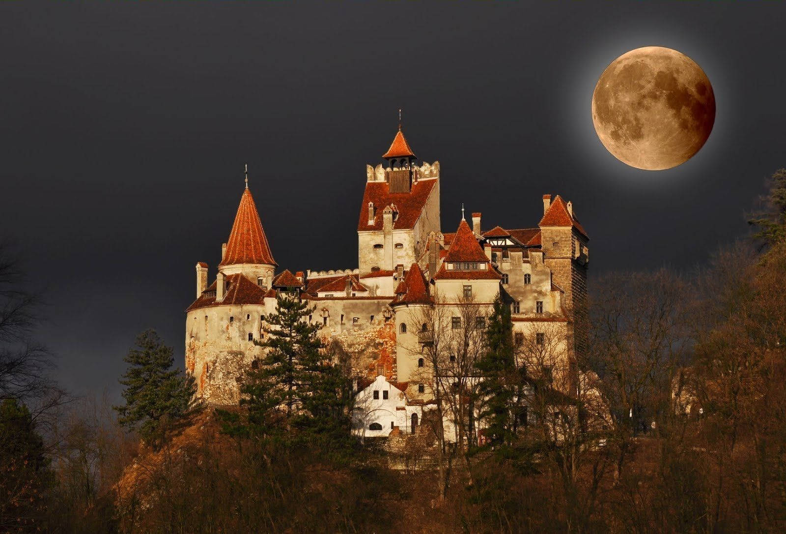 1600x1086 Download Majestic Bran Castle at Night, Romania Wallpaper