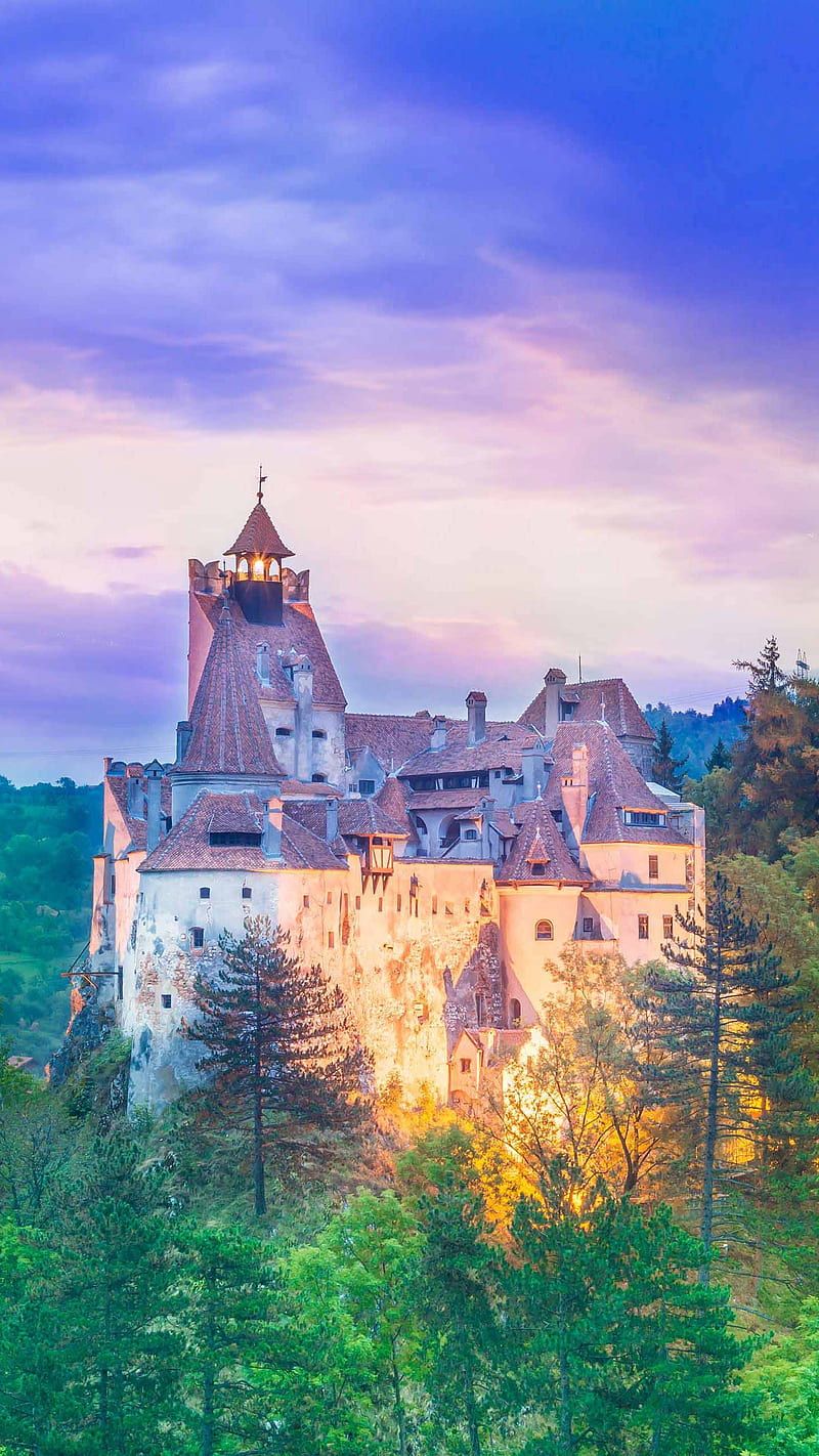 800x1422 Bran Castle, HD phone wallpaper