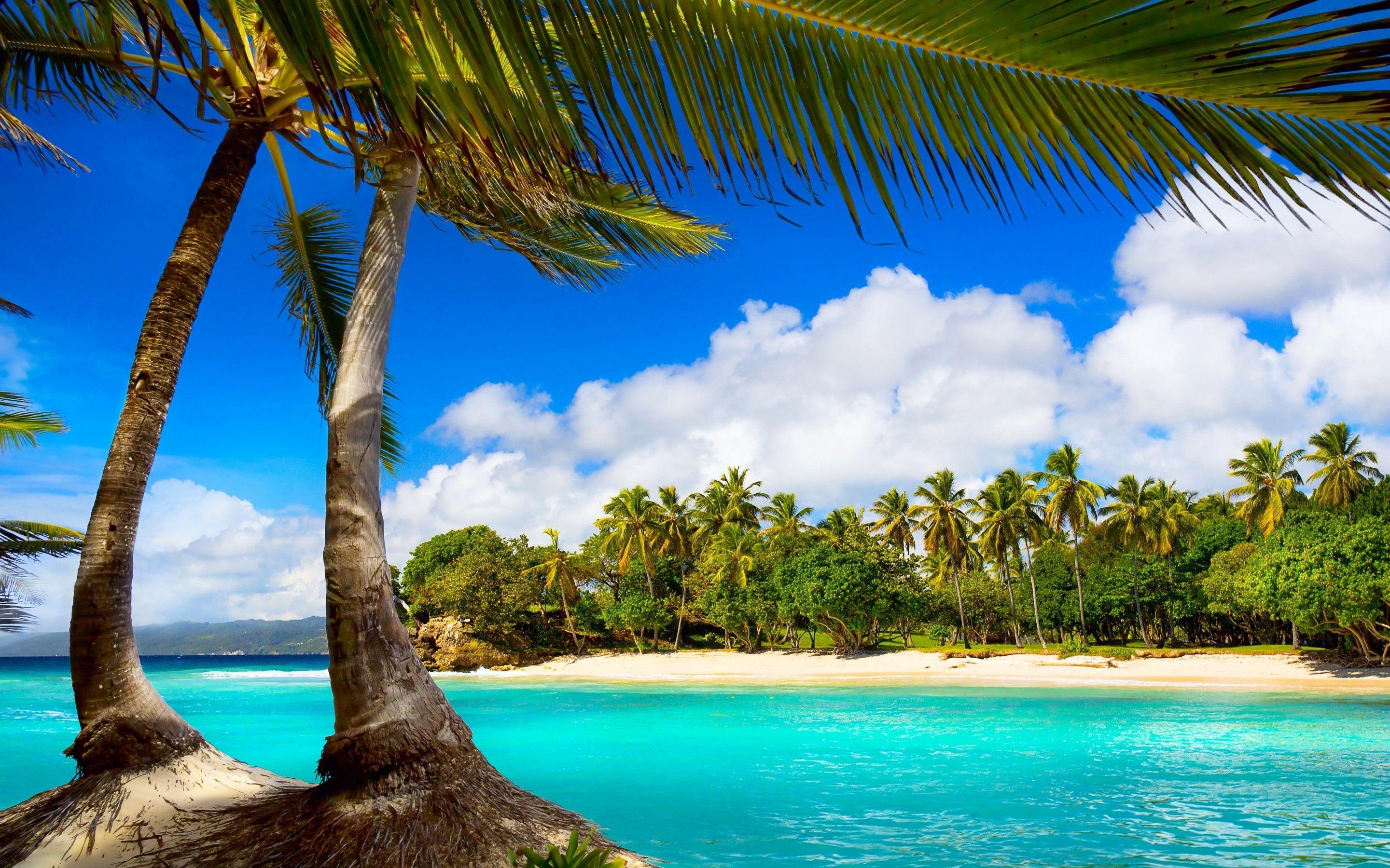 2880x1800 Jpeg v.9.4 photo, Exotic beach