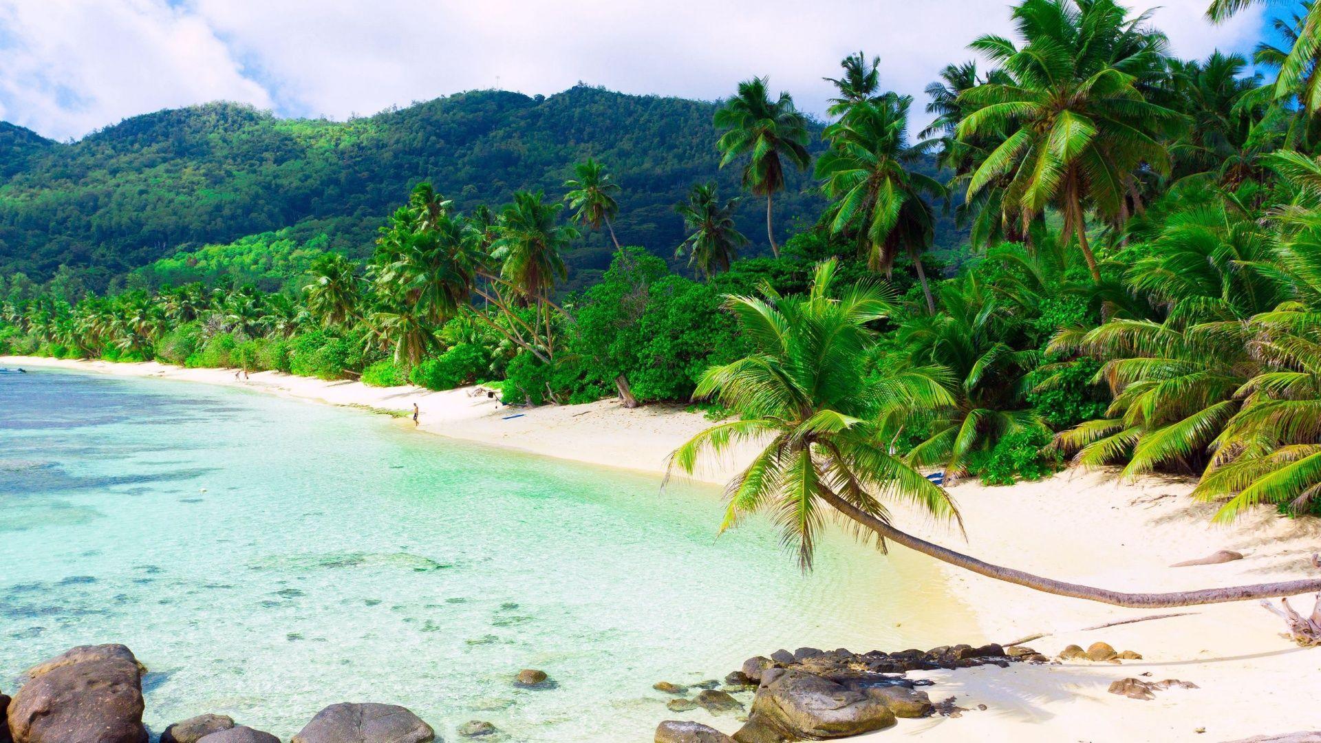 1920x1080 Free download Beautiful Exotic Beach High Definition Wallpaper HD