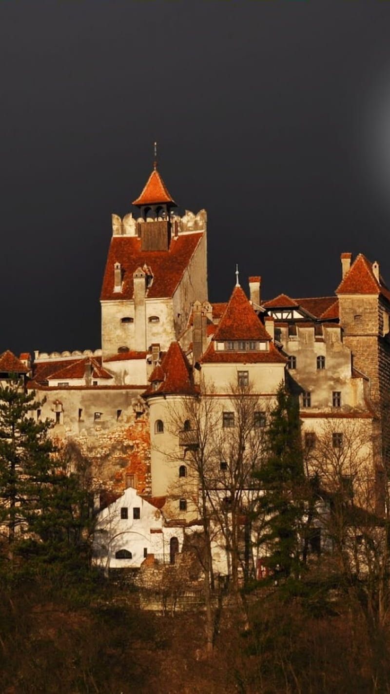 800x1422 Bran Castle, castles, romania, vlad dracula, HD phone wallpaper