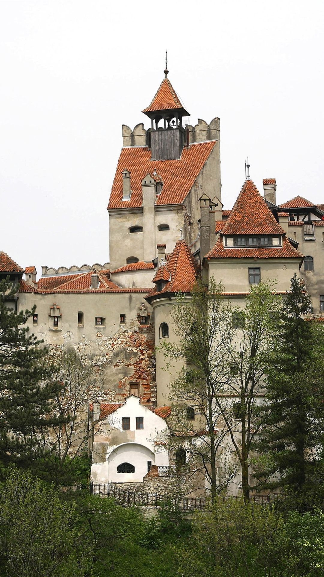 1080x1920 Romania, Bran Castle, Trees 1080x1920 IPhone 8 7 6 6S Plus Wallpaper, Background, Picture, Image